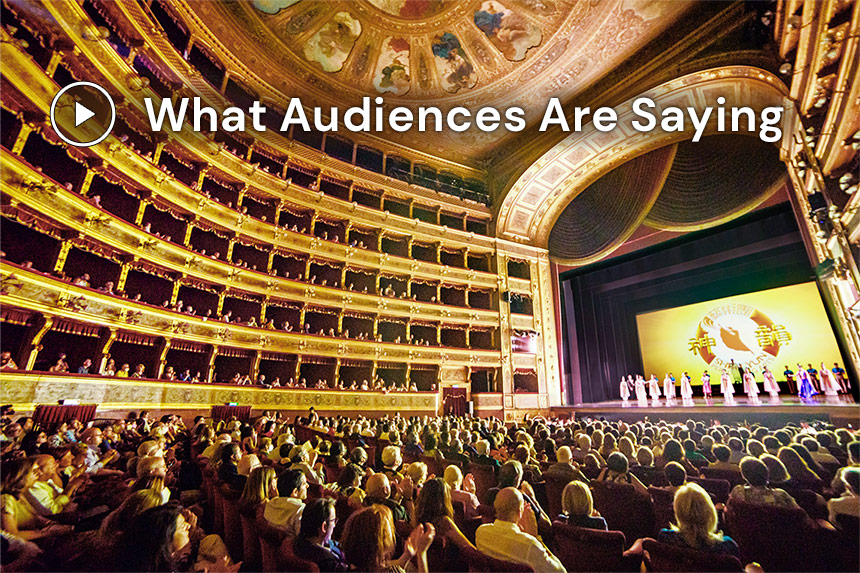 What Audiences Are Saying